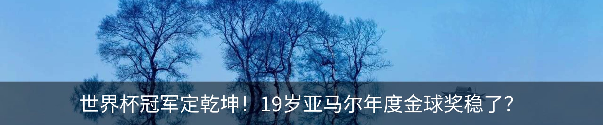 新闻动态