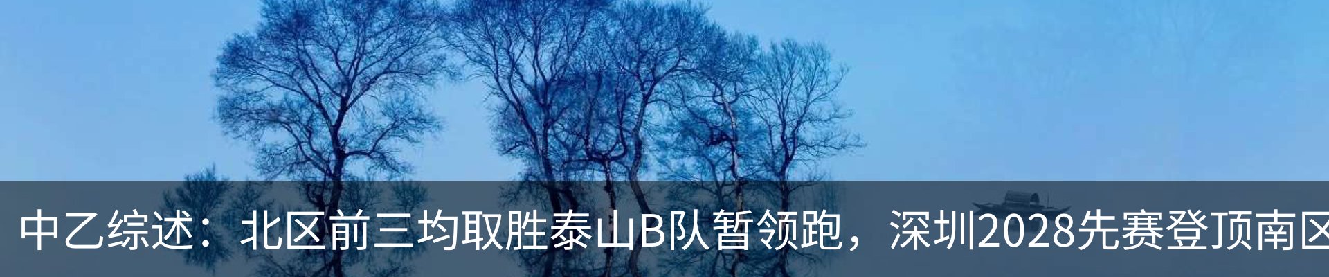 新闻动态