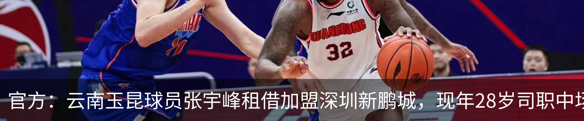 新闻动态