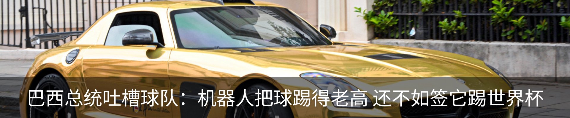 新闻动态