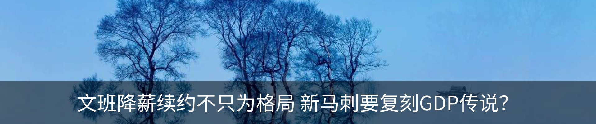 新闻动态