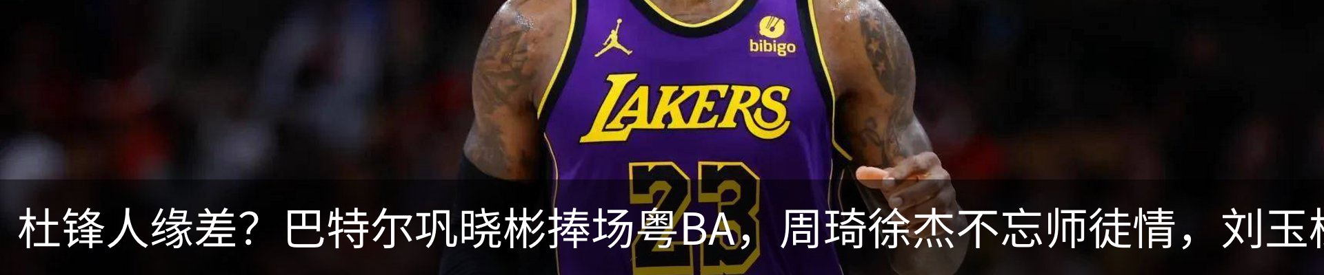 新闻动态