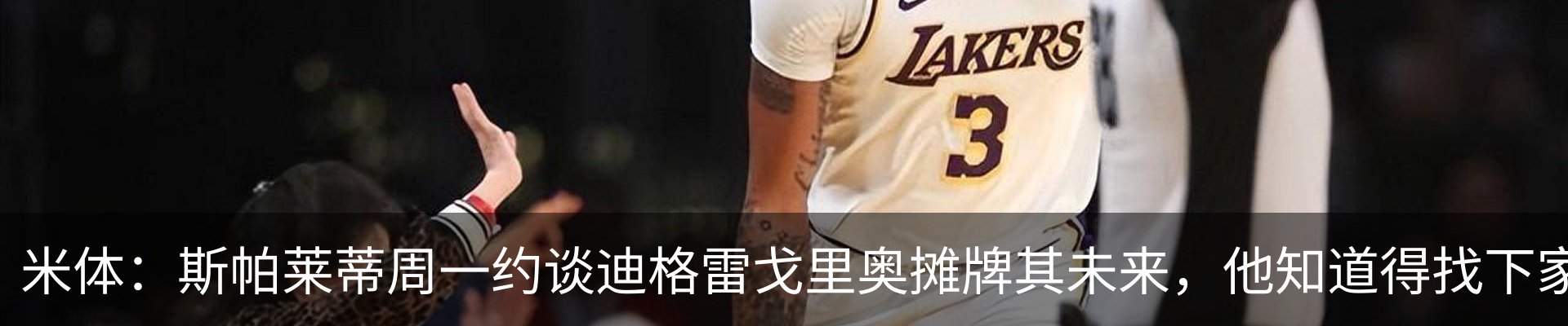 新闻动态