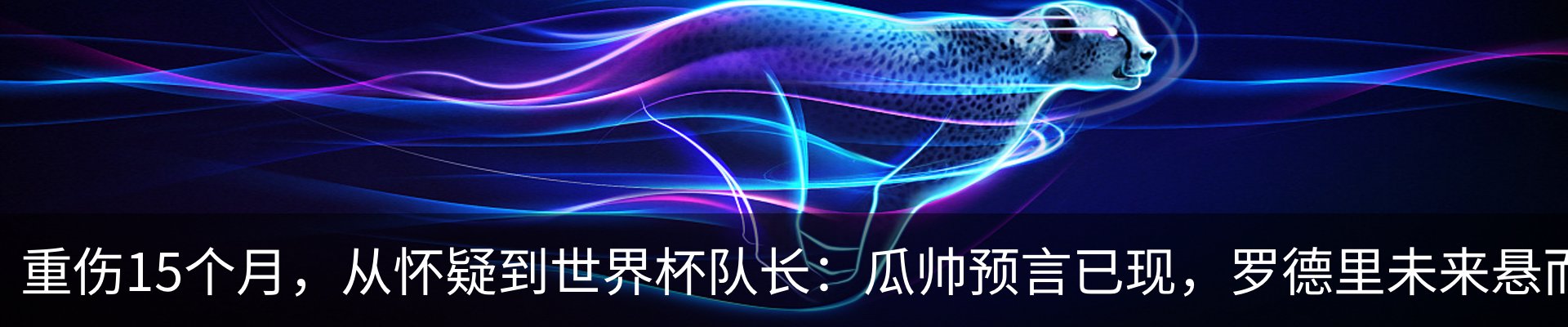 新闻动态